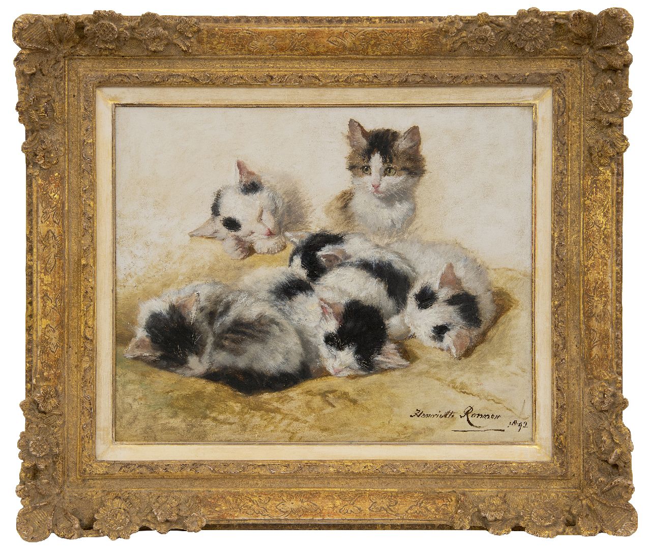 Ronner-Knip H.  | Henriette Ronner-Knip, Junge Kätzchen, Öl auf Holz 32,2 x 40,3 cm, Unterzeichnet u.r. und datiert 1892