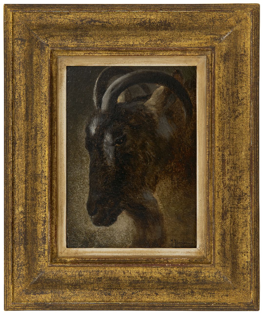 Janssens J.  | Jacques Janssens | Gemälde zum Verkauf angeboten | Kopf eines Widders, Öl auf Holz 22,2 x 16,2 cm, Unterzeichnet u.r.