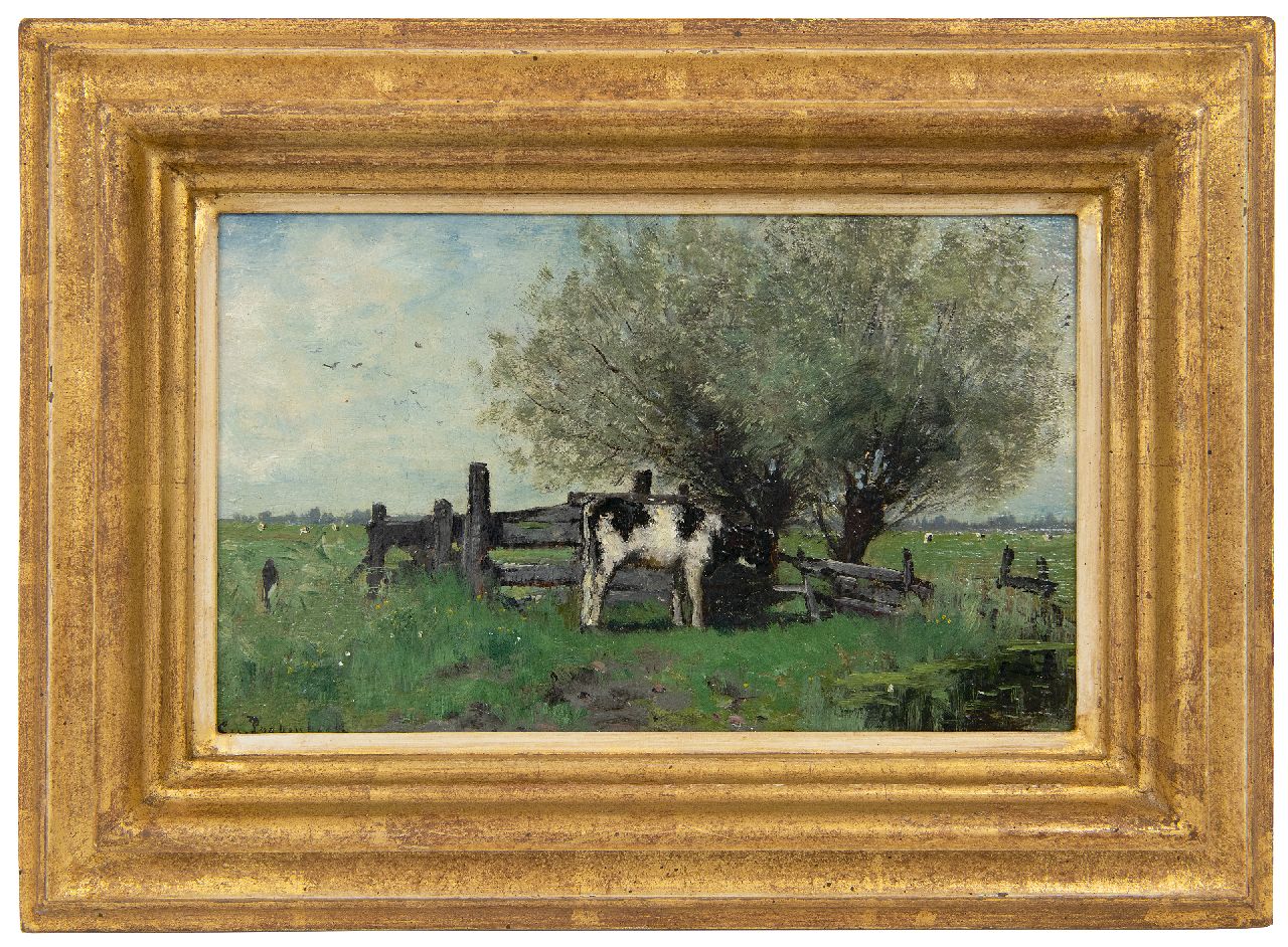 Poggenbeek G.J.H.  | George Jan Hendrik 'Geo' Poggenbeek | Gemälde zum Verkauf angeboten | Junge Kuh an einem Zaun auf der Wiese, Öl auf Holz 14,0 x 22,6 cm, Unterzeichnet u.l.