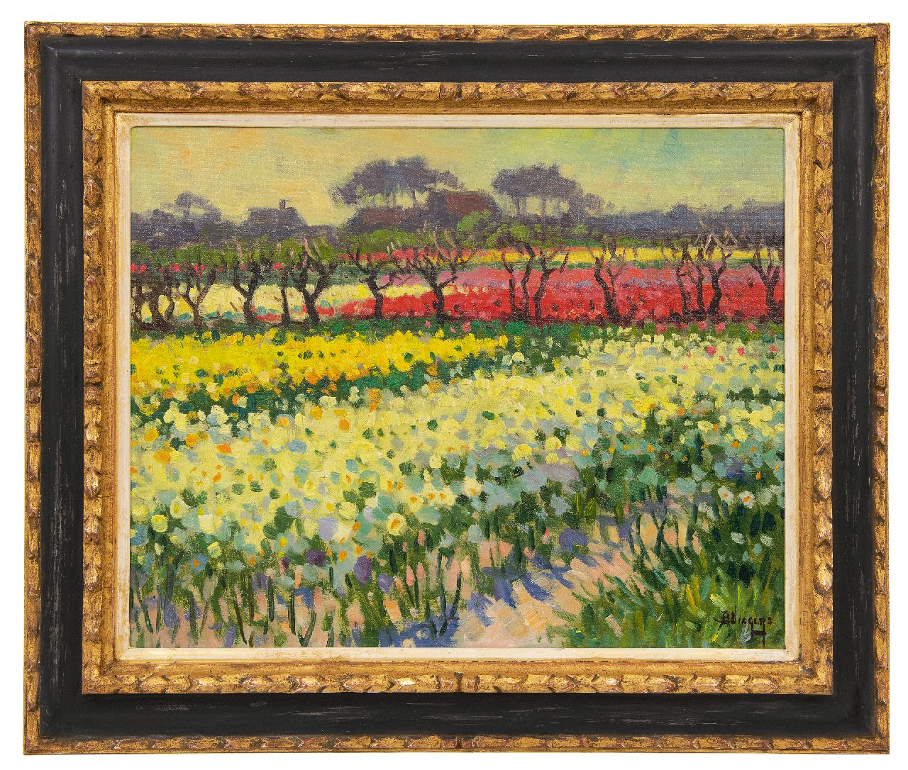 Viegers B.P.  | Bernardus Petrus 'Ben' Viegers, Narzissen- und Tulpenfelder in Bakkum, Nordholland, Öl auf Leinwand 40,6 x 50,6 cm, Unterzeichnet u.r.