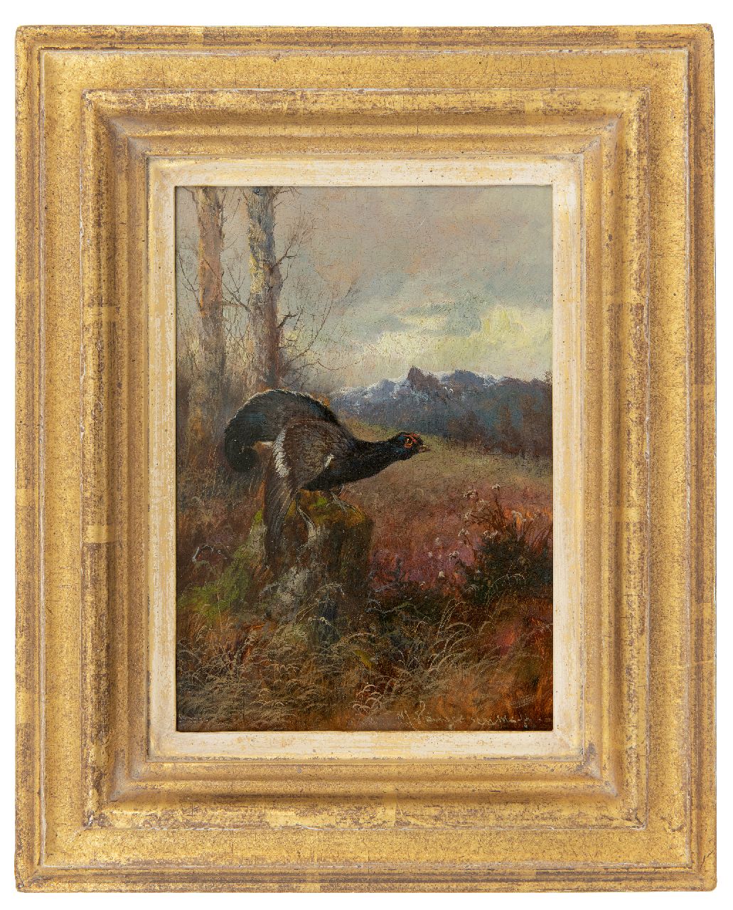 Hänger M.  | Max Hänger | Gemälde zum Verkauf angeboten | Auerhuhn nach rechts blickend, Öl auf Holz 19,7 x 13,8 cm, Unterzeichnet u.r.