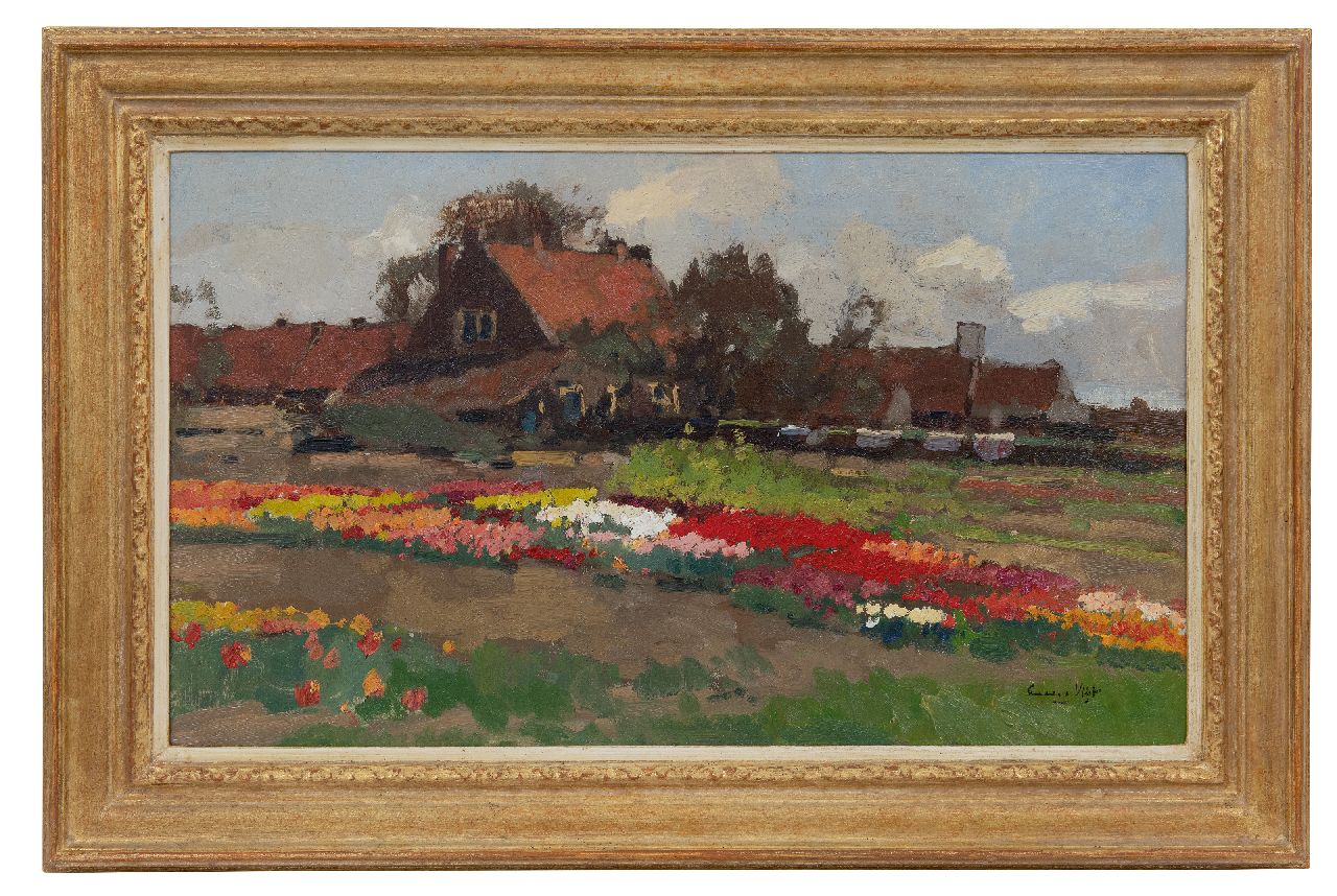 Vlist L. van der | Leendert van der Vlist | Gemälde zum Verkauf angeboten | Bauernhof zwischen Tulpenzwiebelfeldern, Öl auf Leinwand 36,1 x 60,9 cm, Unterzeichnet u.r.
