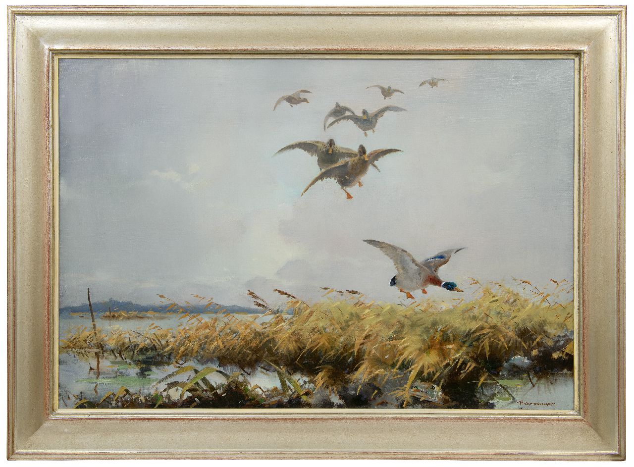 Hem P. van der | Pieter 'Piet' van der Hem | Gemälde zum Verkauf angeboten | Entenflug, Öl auf Leinwand 65,8 x 96,4 cm, Unterzeichnet u.r.
