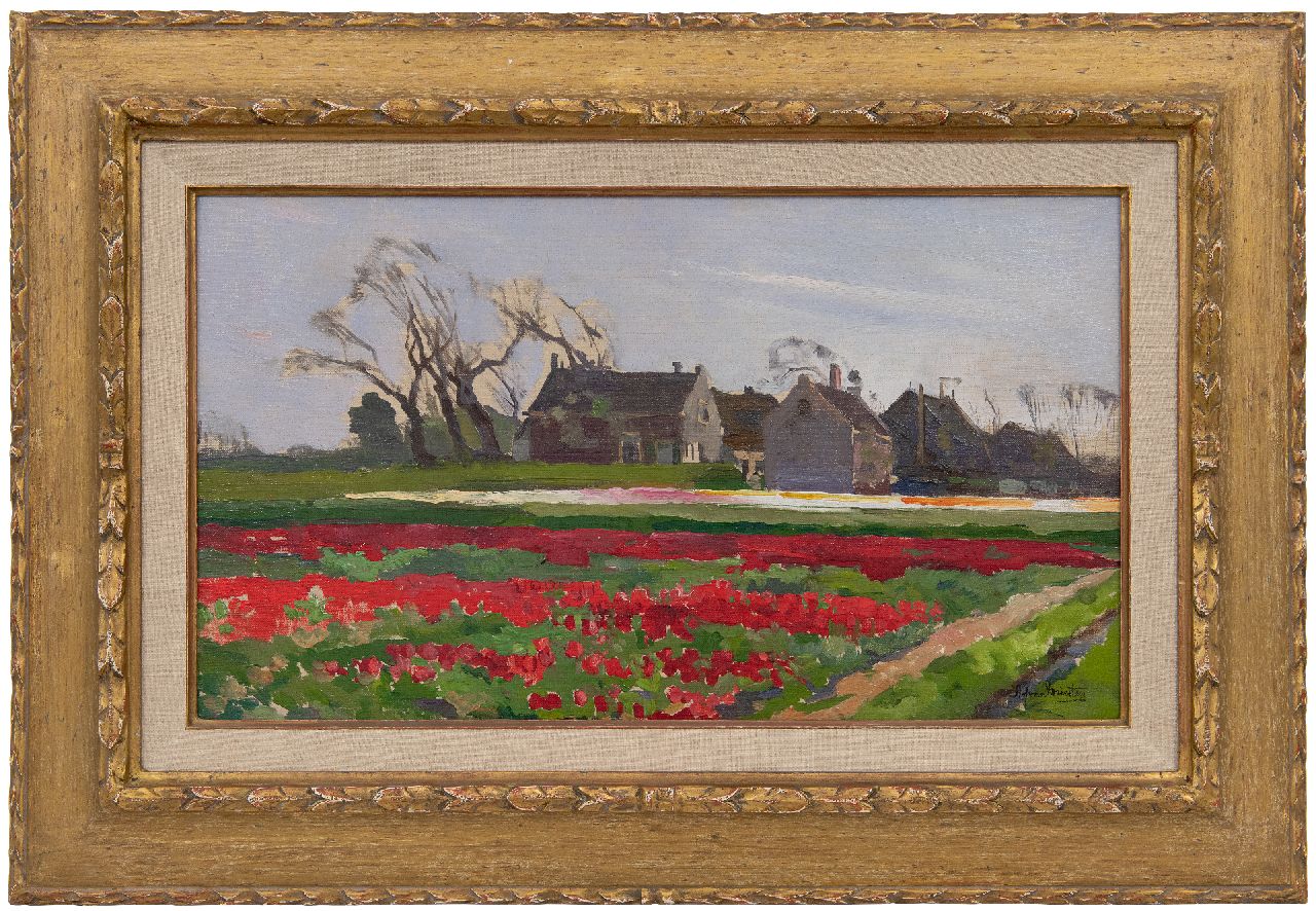 Driesten A.J. van | Arend Jan van Driesten | Gemälde zum Verkauf angeboten | Tulpenzwiebelfelder, Öl auf Malereifaser 28,5 x 49,7 cm, Unterzeichnet u.r.