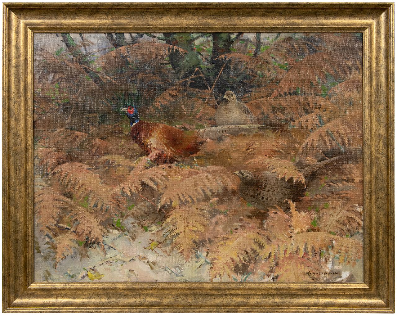 Hem P. van der | Pieter 'Piet' van der Hem | Gemälde zum Verkauf angeboten | Fasanhahn mit zwei Hennen zwischen Farnen, Öl auf Leinwand 75,5 x 100,0 cm, Unterzeichnet r.u.