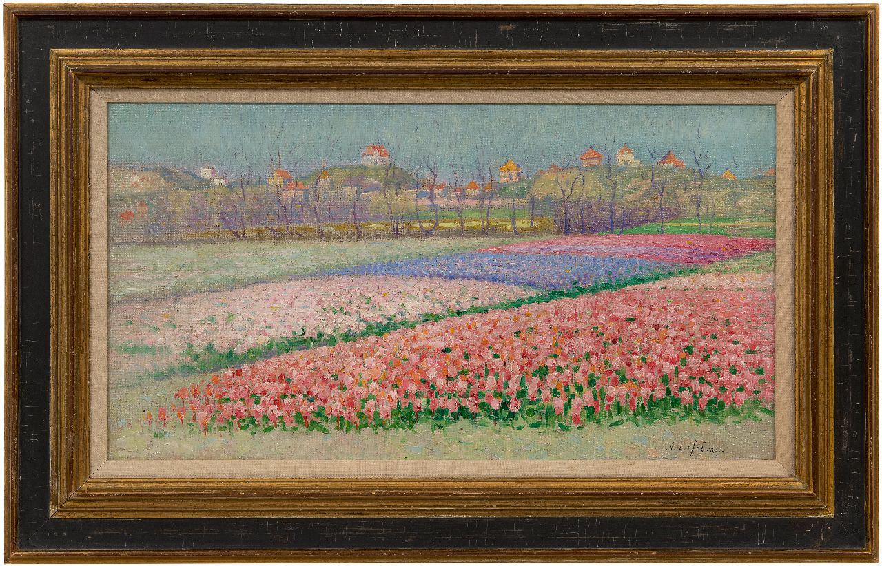 Lefebvre A.  | Albrecht 'Albert' Lefebvre | Gemälde zum Verkauf angeboten | Hyazinthenfelder hinter den Dünen bei Noordwijk, Öl auf Leinwand 32,4 x 60,0 cm, Unterzeichnet u.r.