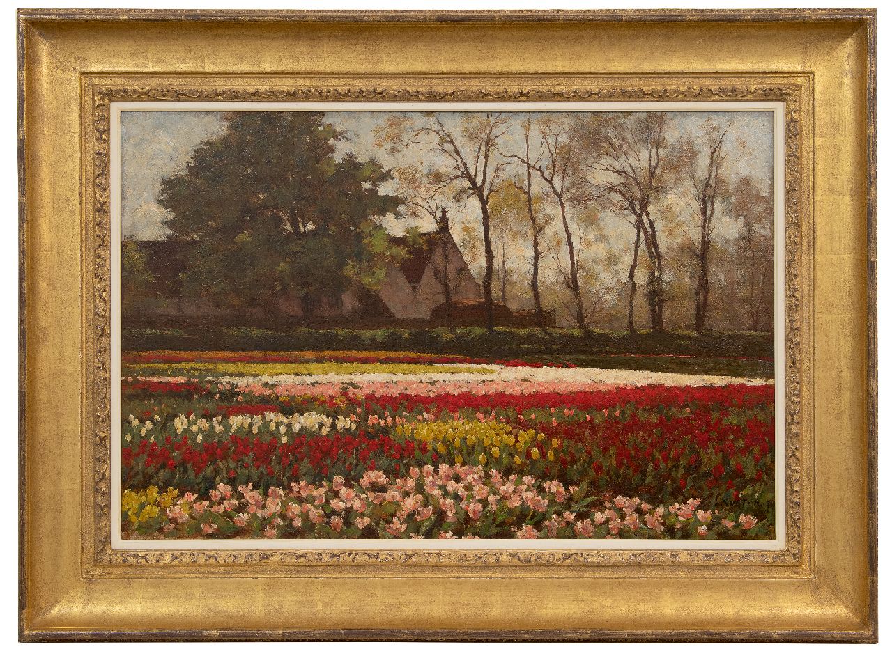 Koster A.L.  | Anton Louis 'Anton' Koster, Blühende Tulpenfelder, Öl auf Leinwand 53,5 x 81,9 cm, Unterzeichnet u.r.
