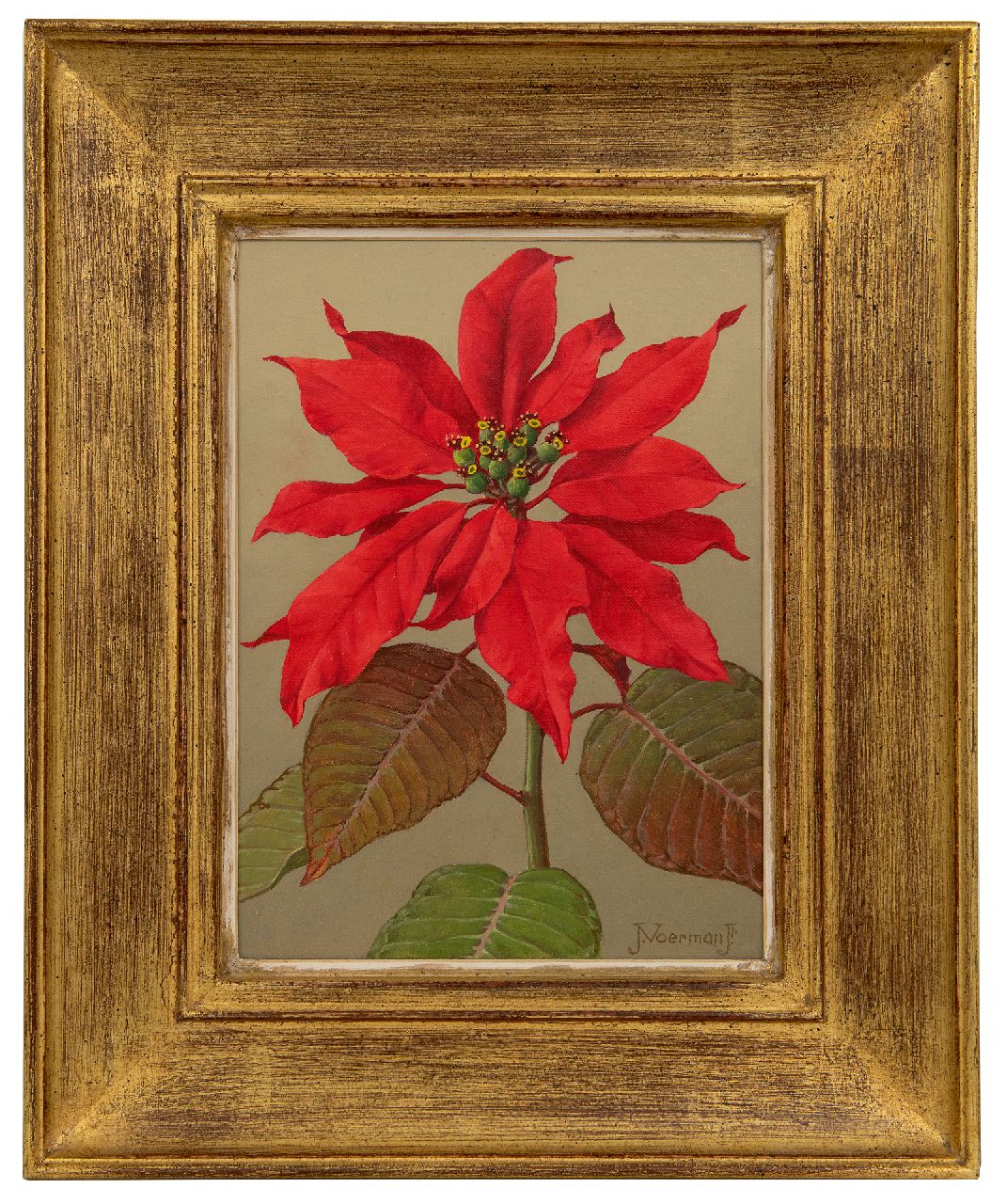 Voerman jr. J. | Jan Voerman jr. | Gemälde zum Verkauf angeboten | Rote Weihnachtsstern, Öl auf Leinwand auf Holzfaser 22,7 x 15,8 cm, Unterzeichnet u.r. Voerman jr. J. | Jan Voerman jr. | Gemälde zum Verkauf angeboten | Rote Weihnachtsstern, Öl auf Leinwand auf Holzfaser 22,7 x 15,8 cm, Unterzeichnet u.r.