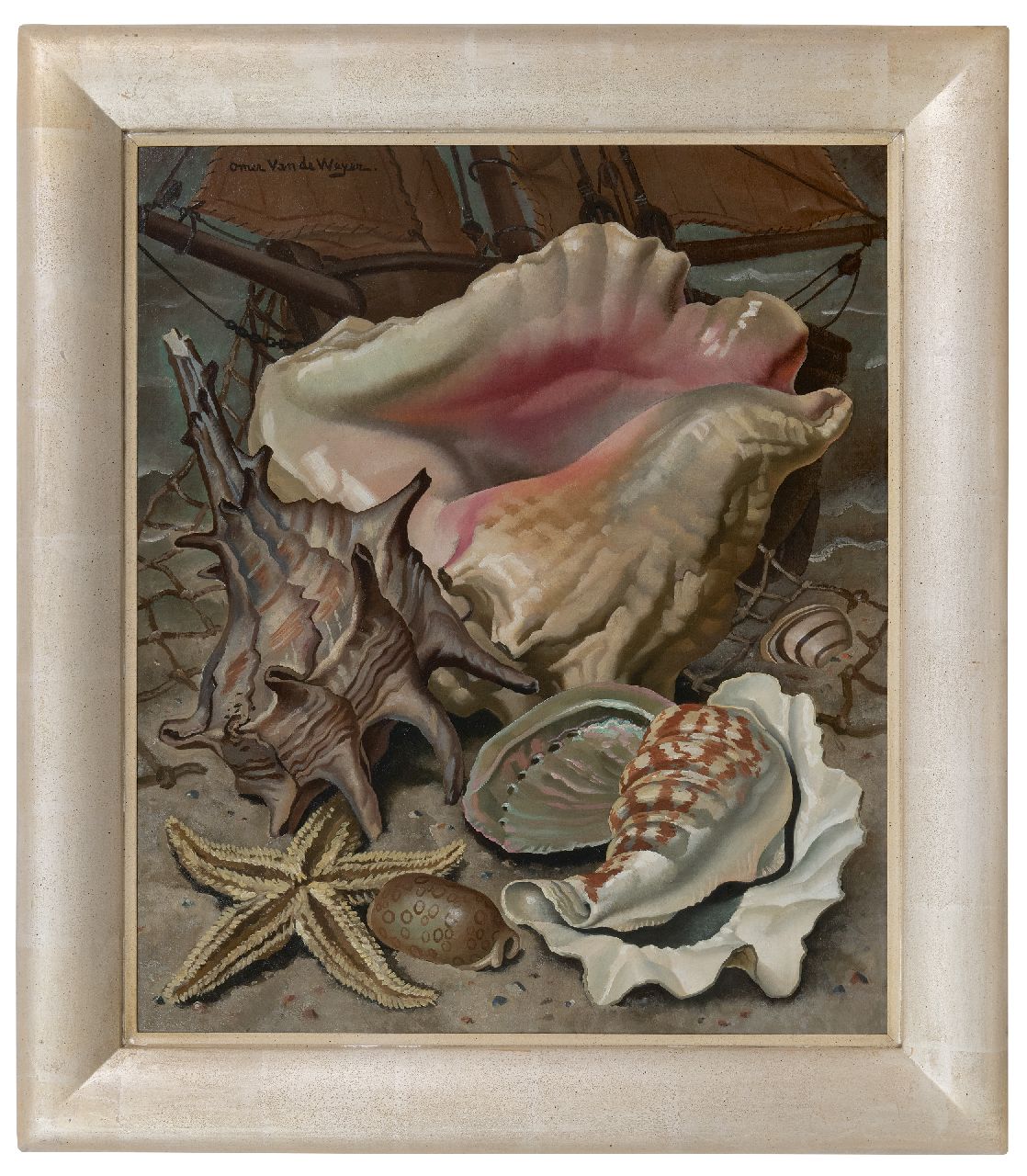 Weyer O. van de | Omer van de Weyer | Gemälde zum Verkauf angeboten | Stillleben mit exotischen Muscheln, Öl auf Leinwand 60,2 x 50,3 cm, Unterzeichnet o.l.