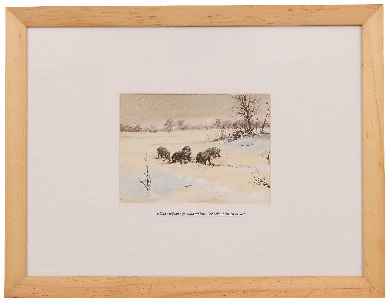Poortvliet R. | Rien Poortvliet | Aquarelle und Zeichnungen zum Verkauf angeboten | Wildschweine im Schnee, Hoge Veluwe, Gouache auf Papier 12,6 x 17,3 cm Poortvliet R. | Rien Poortvliet | Aquarelle und Zeichnungen zum Verkauf angeboten | Wildschweine im Schnee, Hoge Veluwe, Gouache auf Papier 12,6 x 17,3 cm