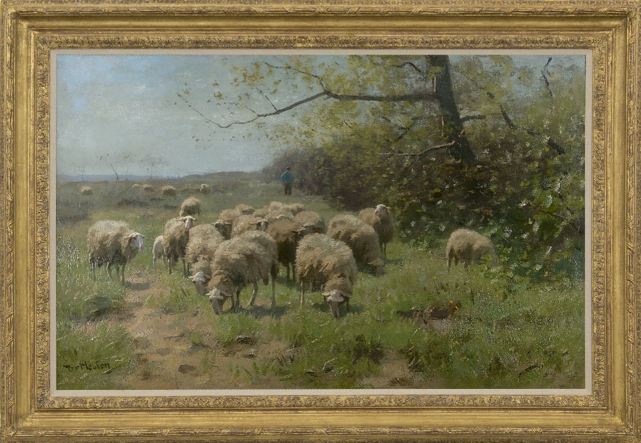Meulen F.P. ter | François Pieter ter Meulen, Weidende Schafe in Landschaft auf der Veluwe, Öl auf Leinwand 67,5 x 104,7 cm, Unterzeichnet l.u.