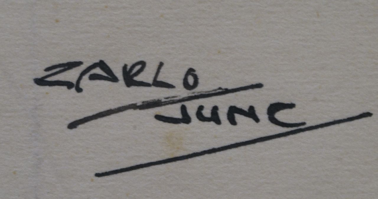 Carlo Jung Signaturen Letzte Mode