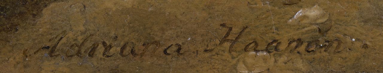 Adriana Haanen Signaturen Rosen und Chrysanthemen auf dem Waldboden