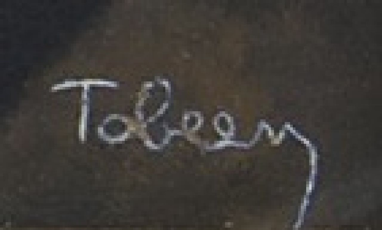 Tobeen Signaturen Nu couché