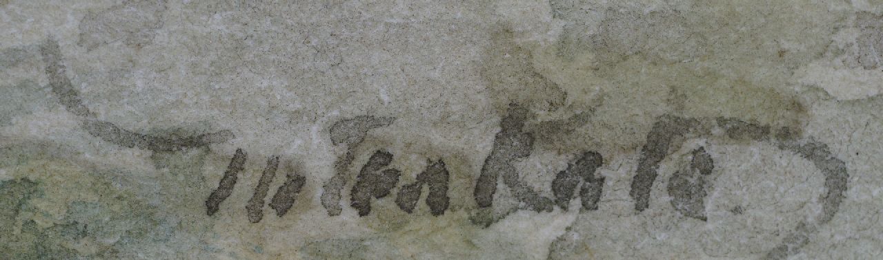 Mari ten Kate Signaturen Spielen mit Kätzchen