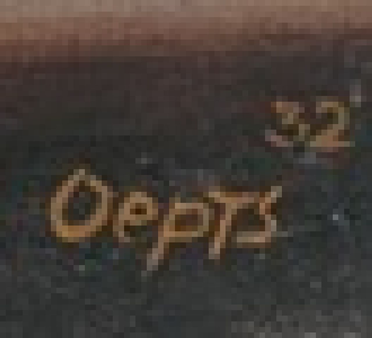 Wim Oepts Signaturen Stilleben mit Zwiebeln in einem Korb und einer Wasserkanne