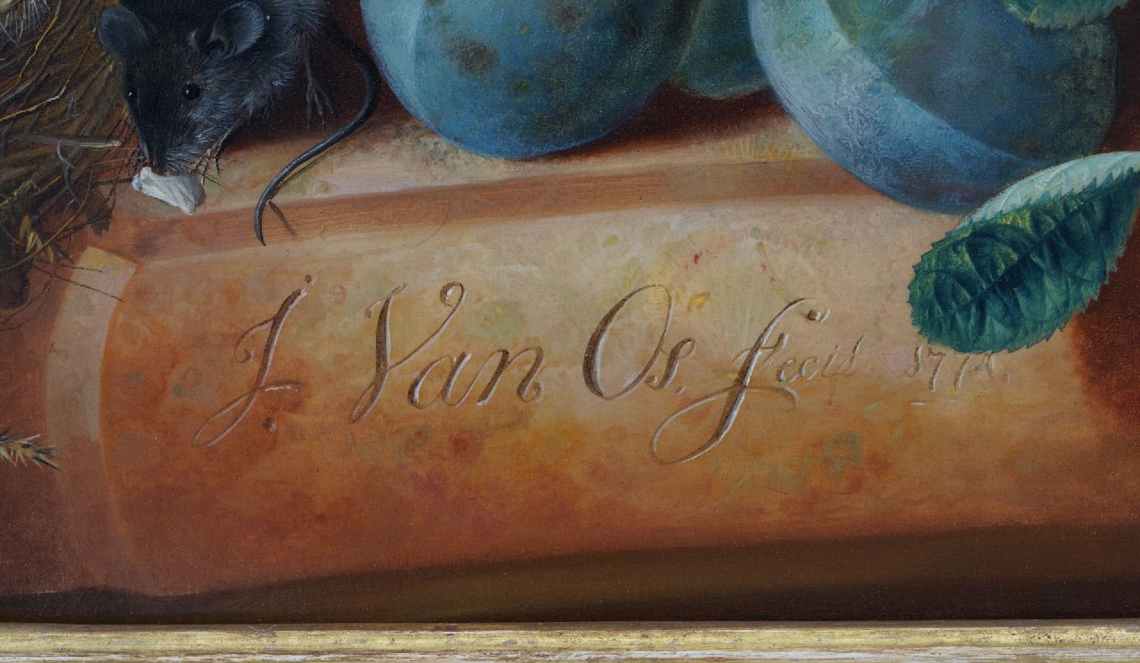Jan van Os Signaturen Blumenstillleben mit Früchten, einer Maus und einem Vogelnest