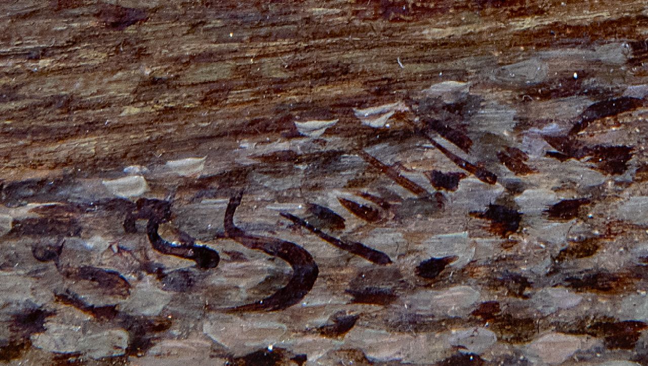 Johannes Franciscus Spohler Signaturen Sommerliche Stadtansicht mit dem Turm der Bakenesserkert von Haarlem