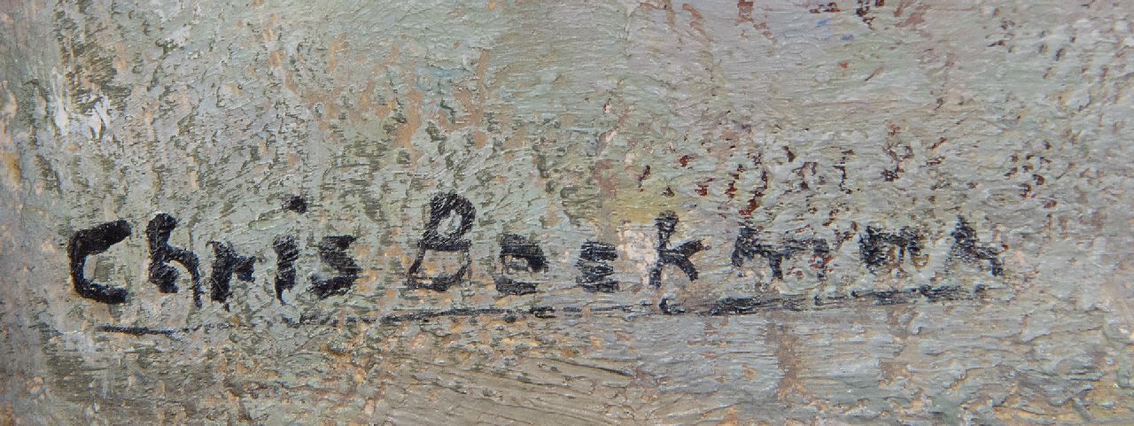 Chris Beekman Signaturen Bereit zur Demonstration