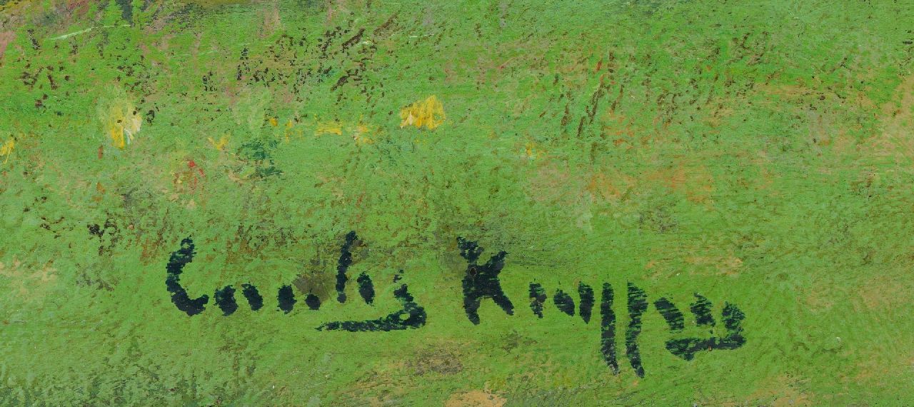Cornelis Kuijpers Signaturen Breite Landschaft beim Rhein
