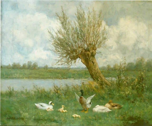 Constant Artz | Ducks on the riverbank, Öl auf Leinwand, 40,0 x 50,3 cm, signed l.l.