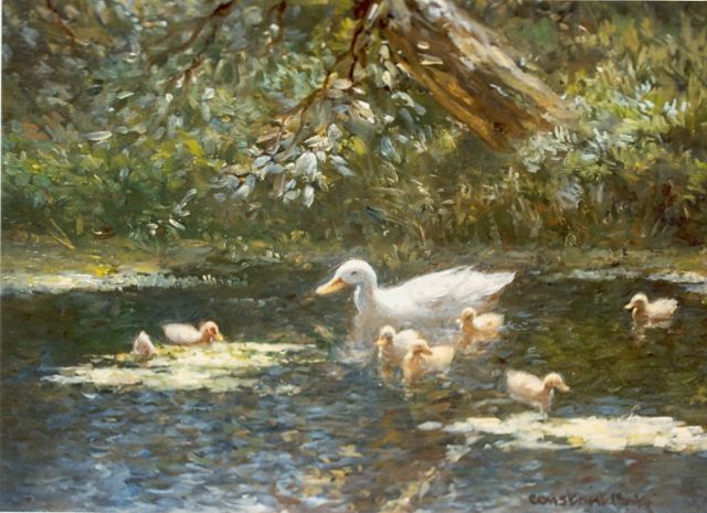 Constant Artz | Duck with ducklings in a pond, Öl auf Holz, 18,0 x 24,0 cm, signed l.r.