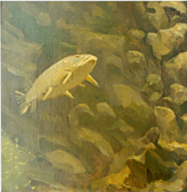 Gerrit Willem Dijsselhof | Pike perch, Öl auf Leinwand, 35,5 x 35,5 cm, signed l.c.