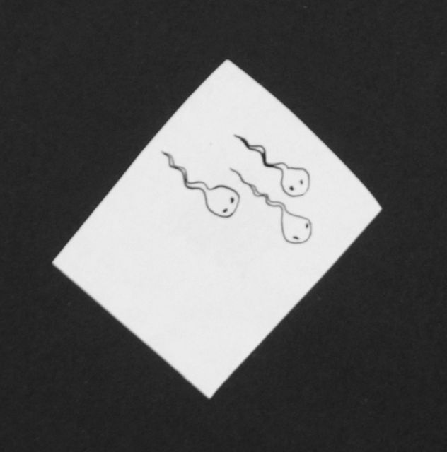 Prinses Beatrix van Oranje Nassau | Three tadpoles, Bleistift und Ausziehtusche auf Papier, 5,2 x 4,1 cm, executed August 1960