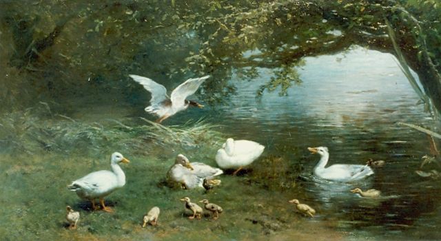 Maris W.  | Ducks on the riverbank, Öl auf Leinwand 56,0 x 111,0 cm, signed l.r. und dated 1870