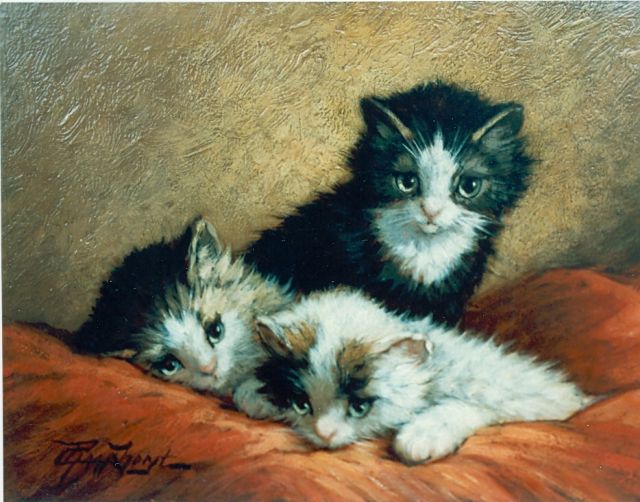 Cornelis Raaphorst | Three kittens, Öl auf Holz, 18,4 x 24,4 cm, signed l.l.