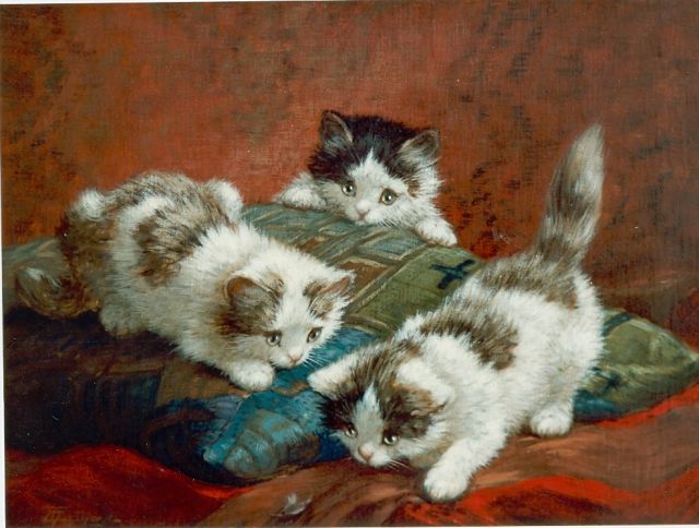 Cornelis Raaphorst | Playful kittens, Öl auf Leinwand, 50,4 x 60,5 cm, signed l.r.