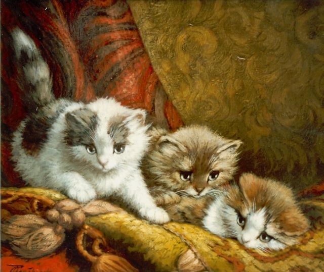 Cornelis Raaphorst | Three kittens, Öl auf Leinwand, 24,3 x 30,3 cm, signed l.l.