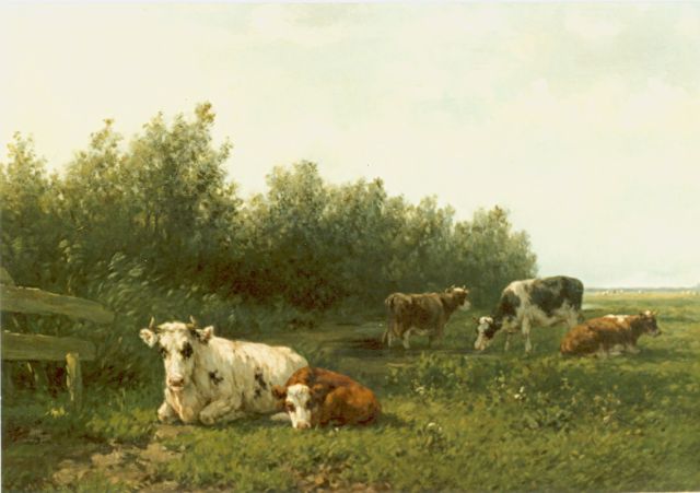 Willem Vester | Cows in a meadow, Öl auf Leinwand, 44,2 x 70,2 cm, signed l.l.