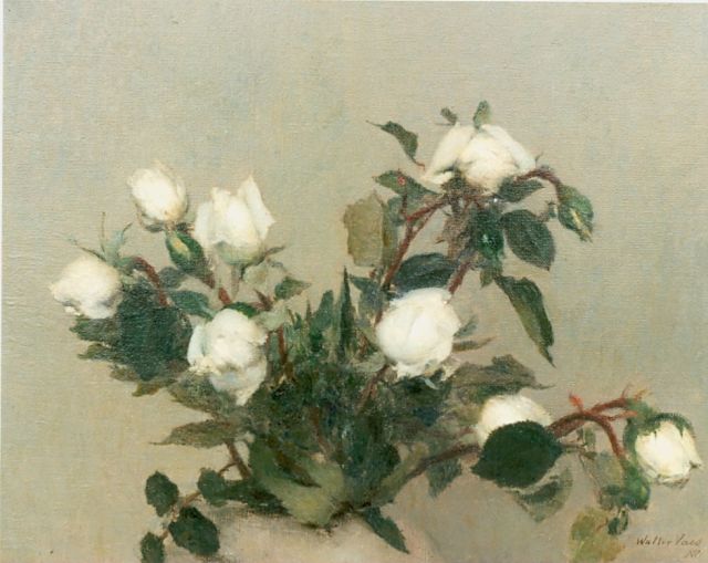 Walter Vaes | White roses, Öl auf Leinwand, 31,0 x 40,0 cm, signed l.r.