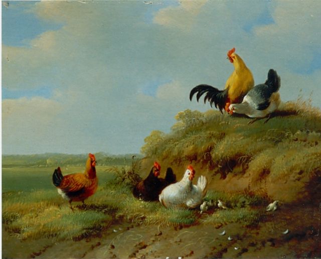 Albertus Verhoesen | Chickens and rooster, Öl auf Holz, 14,0 x 13,6 cm, signed l.r.