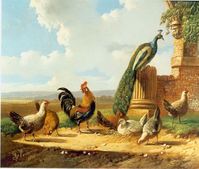 Verhoesen A.  | Poultry on a yard, Öl auf Leinwand 13,6 x 17,0 cm, signed l.l.