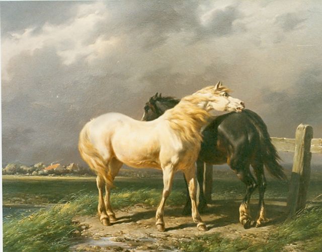 Wouterus Verschuur | Horses in a meadow, Öl auf Holz, 28,0 x 36,0 cm, signed l.r.