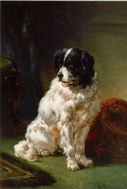 Wouterus Verschuur | The painter's dog, Öl auf Holz, 20,0 x 15,0 cm, signed l.r.