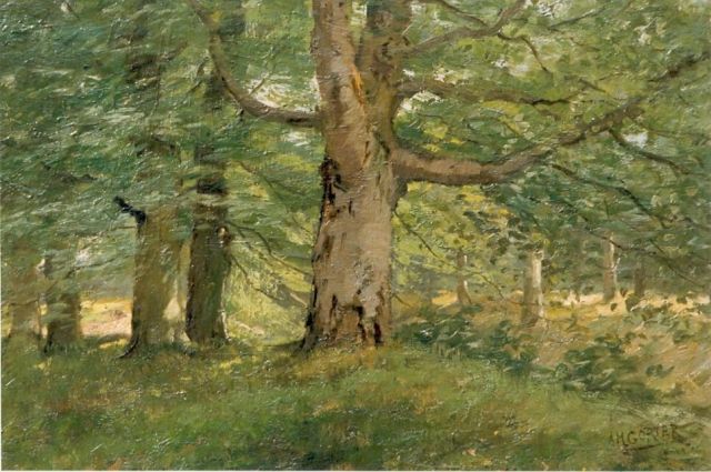 Arnold Marc Gorter | Forest, Öl auf Leinwand, 43,5 x 62,0 cm, signed l.r.