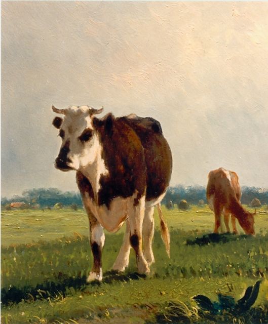 Cornelis Westerbeek | Cows in a meadow, Öl auf Holz, 29,6 x 25,2 cm, signed l.r.
