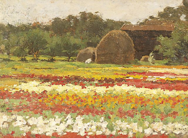 Anton Koster | Bulb fields, Öl auf Leinwand  auf Holzfaser, 29,3 x 39,1 cm, signed l.r.