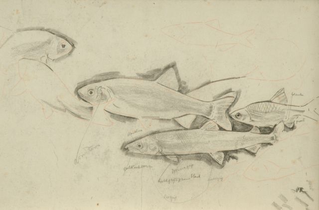 Gerrit Willem Dijsselhof | Studie für Forellen, Schwarze Kreide auf Papier, 26,5 x 40,1 cm