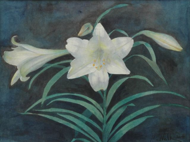 Valk M.W. van der | White lilly, Bleistift und Aquarell auf Papier 27,9 x 36,8 cm, signed l.r. und painted '30