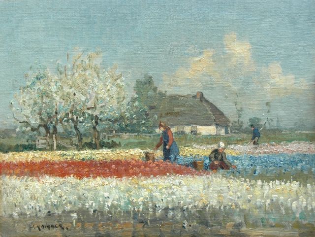 Jan Knikker sr. | Flower field; topping the heads of the bulbs, Öl auf Leinwand auf Holz, 25,2 x 33,5 cm, signed l.l.