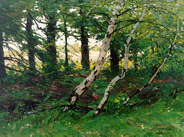 Paul Bodifée | A forest landscape, Öl auf Leinwand, 38,2 x 50,5 cm, signed l.r.