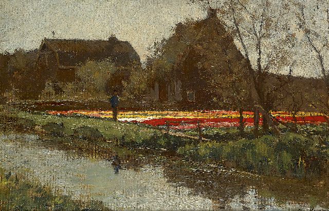Anton Koster | Tulip fields in spring, Öl auf Leinwand  auf Holzfaser, 29,8 x 43,7 cm, signed l.r.