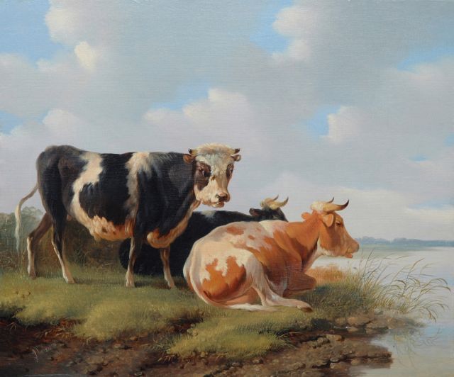 Albertus Verhoesen | A bull and cows near the water, Öl auf Holz, 27,9 x 33,7 cm, signed l.l. und painted 1856