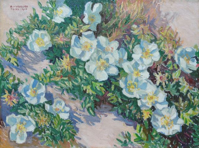 Ad Blok van der Velden | Scotch roses, Öl auf Leinwand, 30,4 x 40,2 cm, signed u.l. und dated 'Texel 1956'