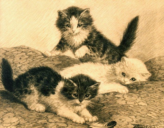 Raaphorst C.  | Three kittens playing, Zeichnung auf Papier 27,5 x 34,0 cm, signed l.r.