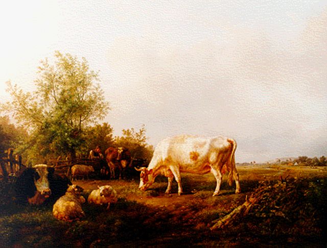 Jan Bedijs Tom | Cows in summer landscape, Öl auf Leinwand, 79,5 x 100,3 cm, signed l.l.